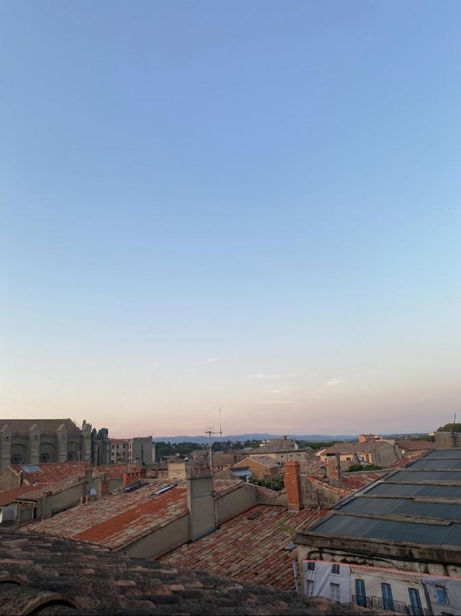 Rooftop Standing Place Carnot 카르카손 외부 사진